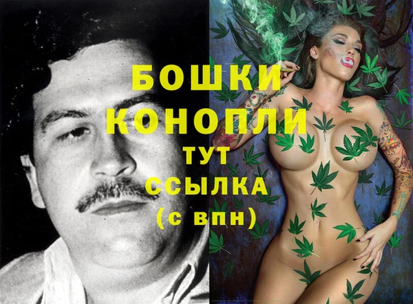 СК Вяземский
