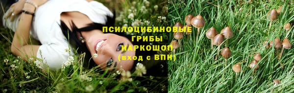 СК Вяземский